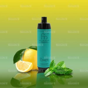 randm tornado 10000 lemon mint