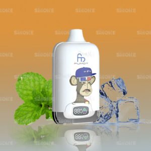 randm tornado 12000 cool mint